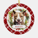 Recherche de chiot de pitbull ornements Vacances