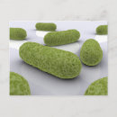 Recherche de bactérie cartes postales Illustration