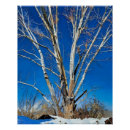 Recherche de ciel bleu clair posters Pour tous