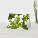 Recherche de plante vœux cartes Flore