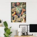 Recherche de biologie marine art Ernst haeckel