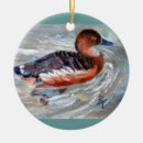 Recherche de canard ornements Faune