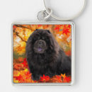 Recherche de chow chow porteclés Automne