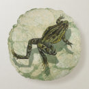 Recherche de grenouille verte coussins Crapaud