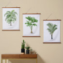 Recherche de toile de palmier Palmiers