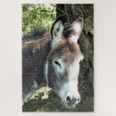 Recherche de donkey puzzles Animal