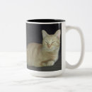 Recherche de chat tigré orange tasses Animal