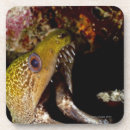 Recherche de bouche dessous de verres Plan rapproché