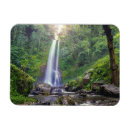 Recherche de cascades magnets Forêt tropicale