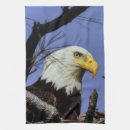 Recherche de aigles cuisine linges Oiseaux