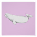 Recherche de baleine beluga posters Pour tous