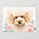 Recherche de de caniche cartes postales Mignon