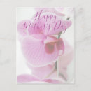 Recherche de orchidée rose cartes postales Floral