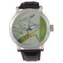 Recherche de libellule et damselfly accessoires Nature