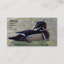 Recherche de canard en bois cartes visite Drak