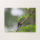 Recherche de colibris puzzles Branche