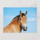 Recherche de headshot cartes postales Cheval