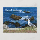 Recherche de carmel cartes postales Monterey