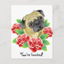 Recherche de carlin mignon invitations Chien