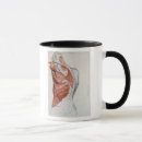Recherche de ang tasses Treillis