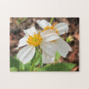 Recherche de printemps puzzles Jardin