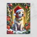 Recherche de lapin de noël cartes postales Pour enfants