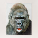 Recherche de gorilles puzzles Drôle