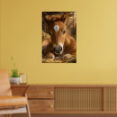 Recherche de poulain mignon art Cheval