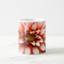 Recherche de dahlia tasses Rouge