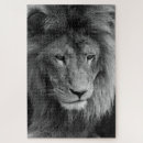 Recherche de mâle puzzles Portrait