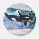 Recherche de orca magnete Nature