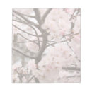 Recherche de fleurs de cerisier blocsnotes Nature