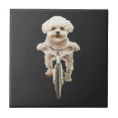 Recherche de frise de bichon carreaux Pug