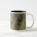 Recherche de gris loup Horizontal