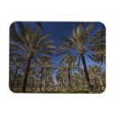 Recherche de la tunisie magnets Côte méditerranéenne