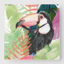 Recherche de toucan horloges Jungle