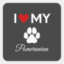 Recherche de pomeranian autocollants Animaux domestiques