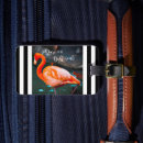 Recherche de différent accessoires Oiseau