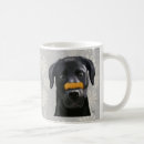 Recherche de labrador noir tasses Antique