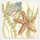 Recherche de shell autocollants Étoile