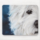 Recherche de chien westie tapis souris Montagne