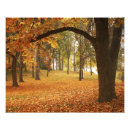 Recherche de photo de grand format posters Washington