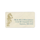 Recherche de seahorses étiquettes adresse retour Plage