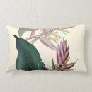 Recherche de heliconia coussins Floral