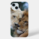 Recherche de lions coques Safari