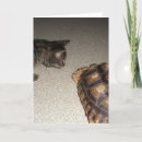 Recherche de abréviations vœux cartes Tabby