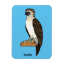 Recherche de dessin d aigle magnets Oiseau