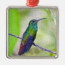 Recherche de costa rica ornamente Vert