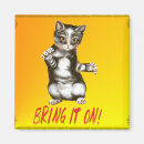 Recherche de minous magnets Felines