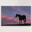 Recherche de sang puzzles Ranch